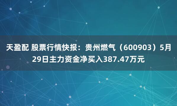 天盈配 股票行情快报：贵州燃气（600903）5月29日主力资金净买入387.47万元