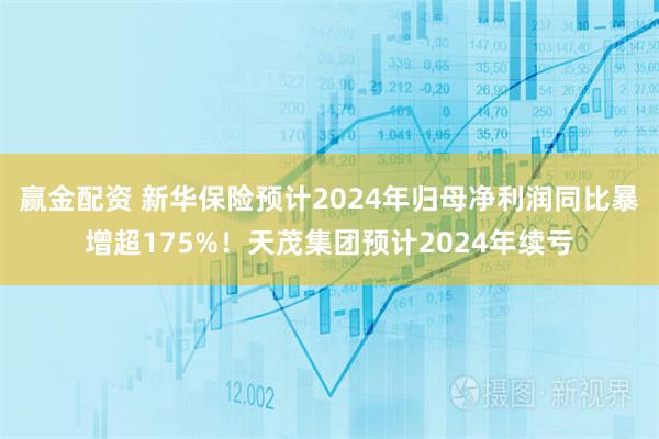 赢金配资 新华保险预计2024年归母净利润同比暴增超175%！天茂集团预计2024年续亏