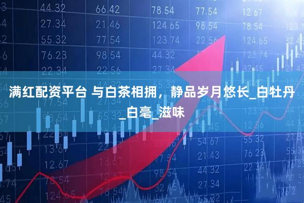 满红配资平台 与白茶相拥，静品岁月悠长_白牡丹_白毫_滋味
